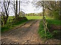 Footpath crosses stream north of Pulborough in RH20 1AG