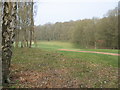Ashridge Golf Course - the fifth hole in HP4 1NA