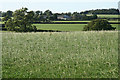 Witheridge: towards Broadridge Farm in EX16 8QB