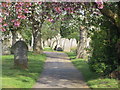 Spring in Nottingham Road Cemetery in DE21 6YZ