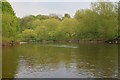 River Tees near Girsby in DL2 1PR