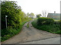 Path to Alcock's Farm in Forthampton