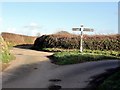 Selcombe Cross in TQ7 2BD