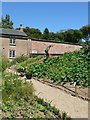 Sloping bed, Kitchen Garden, Trengwainton Garden in TR20 8SN