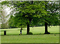2011 : Eastville Park, Bristol in BS5 6PY