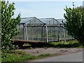 Glasshouses full of garden plants in PR4 6EG