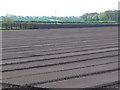 Bare field on drained marsh in PR4 6XB