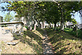 Blackawton: churchyard path in TQ9 7BP