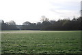 Countryside near Holdhurst Farm in Cranleigh West Ward