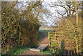 Small footbridge, Dollis Valley Greenwalk in EN5 2AG
