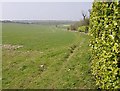 Footpath out of Dummer in RG23 7LR