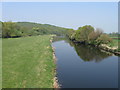 River Tame, Hopwas in B79 7SU
