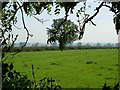 Farmland near Peatling Parva in LE17 5QG