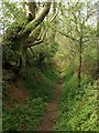 Footpath near Newbuildings in EX17 4PR