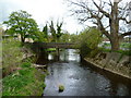 Water of Leith footbridge at Roseburn in EH12 6HY