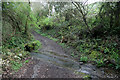 Small ford between Tencreek and Porthallow in PL13 2JN