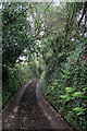 Steep lane to Tencreek in PL13 2JN