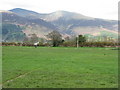 Flood plain pasture near Bassenthwaite in CA12 5SZ
