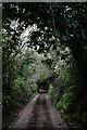 Steep lane from Tencreek in PL13 2JN