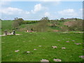Derelict farm buildings above the Dean Brook in TF12 5JZ