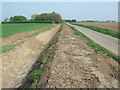 Dry dike on Cant's Drove near Guyhirn in PE13 4HH