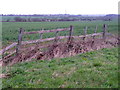 Field boundary near Broughton in NN6 9PX