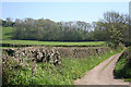 Bampton: track to Holwell in EX16 9FA
