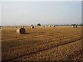 Standard Round Bale Shot No. 481 in PH1 4AQ