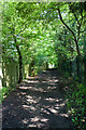 Footpath From Totteridge in N20 8PN
