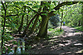 Footpath Beside Folly Brook in N20 8PN