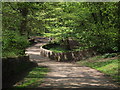 Woodland footpath in Astley Park in PR7 1ST