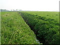 Drainage ditch near Stamford Bridge in YO41 1SR