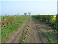 Farm track off Mask Lane heading north in YO41 5NL