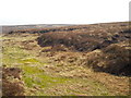Moorland, Meldon Hill in DL12 0JA