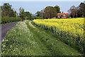 Hithercroft Farm, Hithercroft Road and a rape field in OX10 9ES