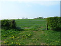 Field entrance off the A166 in YO41 1NG