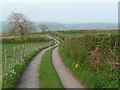 Farm access track near Llansteffan in Llansteffan Community