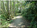 Footbridge over stream in Nailard's Wood in RH17 5RX