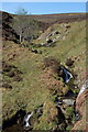 Cascades on the Kirkhope Burn in EH45 9JU