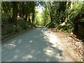 Cross Colwood Lane north through Nailard's Wood in RH17 5RX