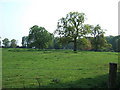The Park at Little Massingham, Norfolk in PE32 2JU