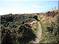 The Tarka Trail/Two Moors Way in EX35 6EP
