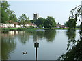 Looking over a pond in Great Massingham, Norfolk in PE32 2JJ