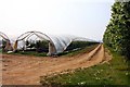 Polytunnel by Mumbery Hill in RG10 8AB