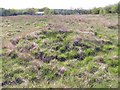 Centre mound of Y Naw Carreg stone circle in SA18 3RT