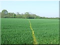 Line Across The Field in IP30 0JE