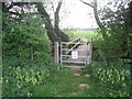 Footbridge on the path to Tealby in LN8 3RJ