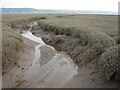 Saltmarsh creek in SA14 9SH