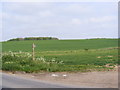 Footpath to Little Lodge & Framlingham College in IP13 9JL