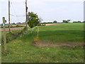 Footpath to the A1120 in IP13 9JQ